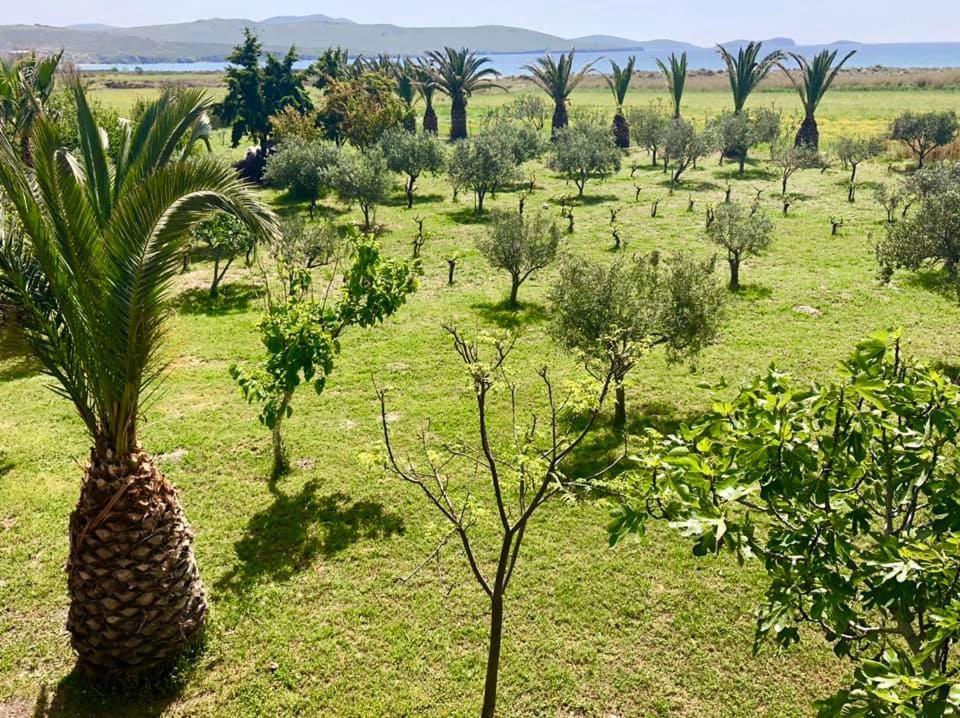 מירינה Evgatisbeach Loyskoy 2 מראה חיצוני תמונה